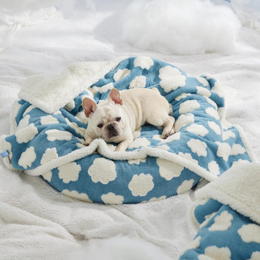 Pet waterproof blanket with blue paw-print pattern and fluffy white trim