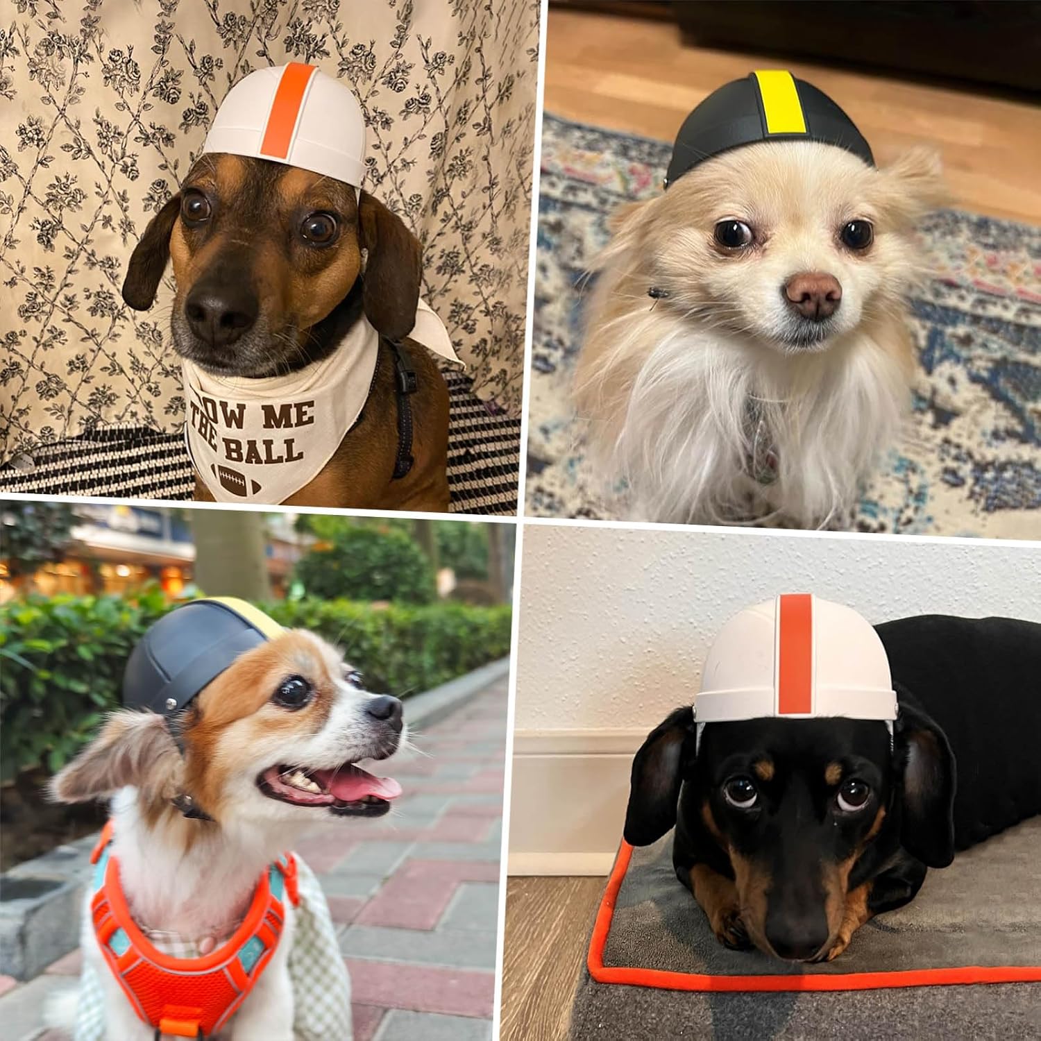 Pet Ride Motorrad-Sicherheitshelm am Hund: weiß/orange und schwarz/gelb