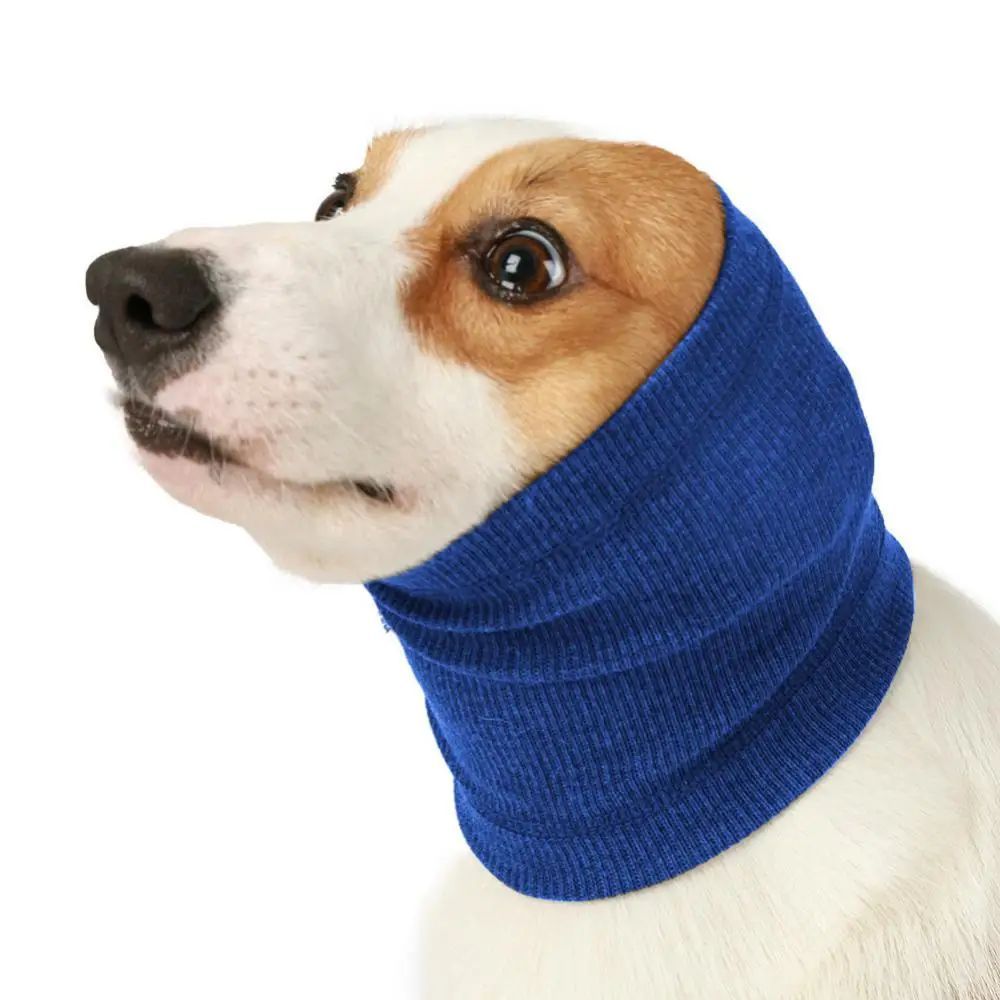 Close-up: blue dog earmuff headband knit around head and ears