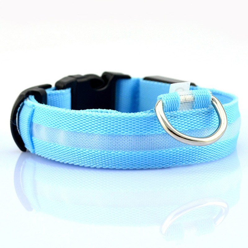 Light blue pet safety collar with black clasp and silver D-ring