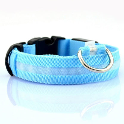 Light blue pet safety collar with black clasp and silver D-ring