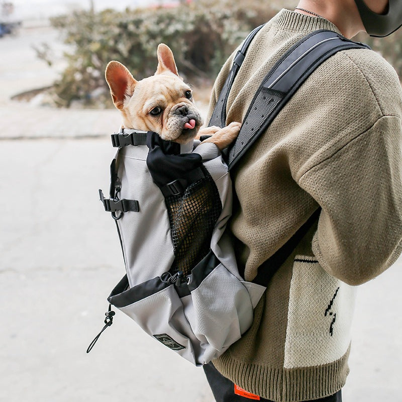 Dark grey dog backpack carrier with mesh front window and adjustable shoulder straps