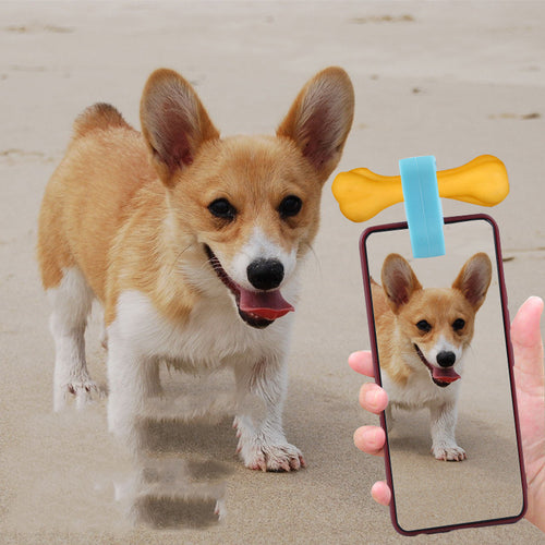 Pet selfie camera lens with blue clips on a smartphone for pet selfies