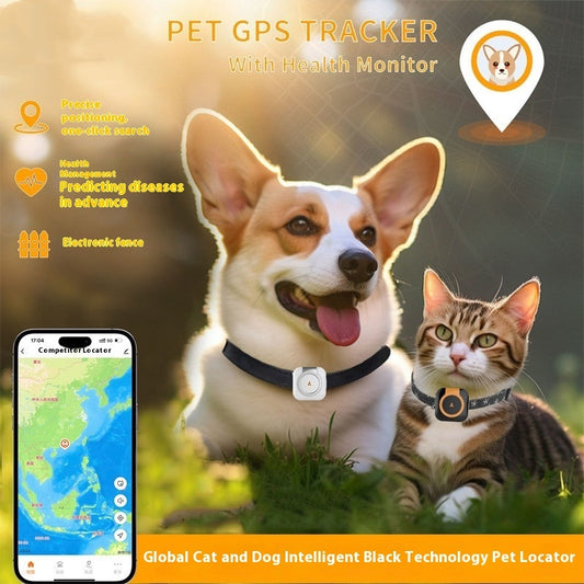 Pet GPS-Tracker am Halsband, schwarzes Band mit kleinem weißem Sender