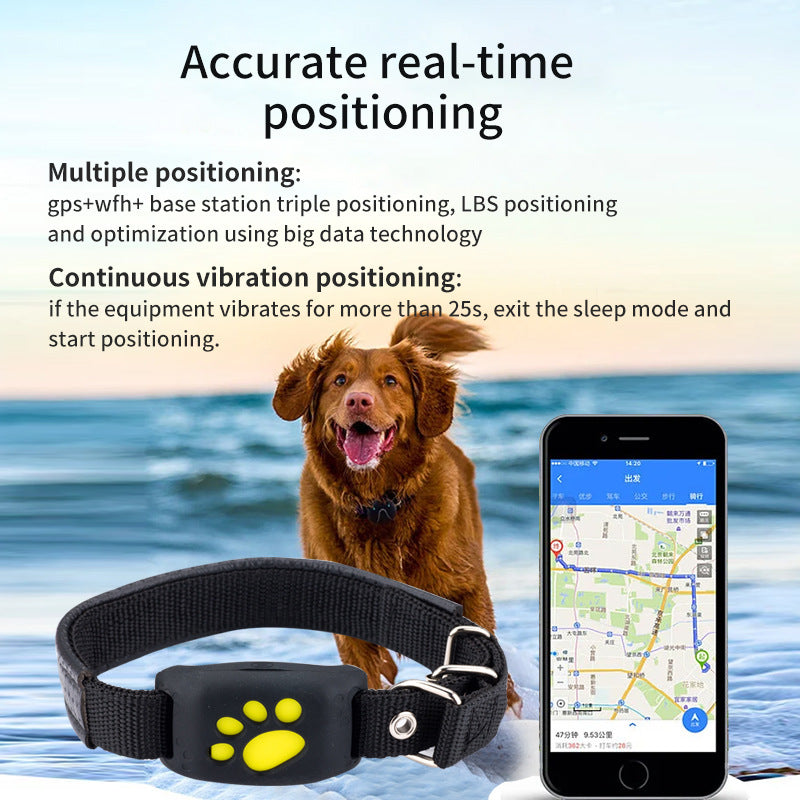 GPS pet locator on black collar strap with yellow paw marking and app screen