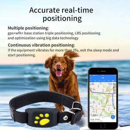 GPS pet locator on black collar strap with yellow paw marking and app screen