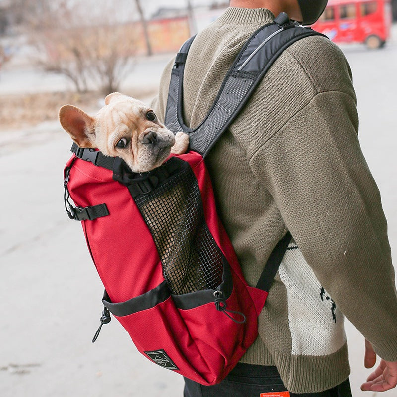 Red dog carrier backpack with front mesh panel and chest securing straps