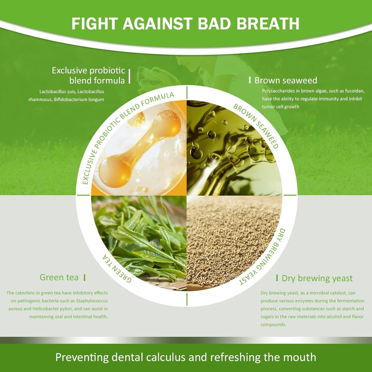 Pet Teeth cleaning powder ingredient blend wheel: brown seaweed, green tea, probiotics