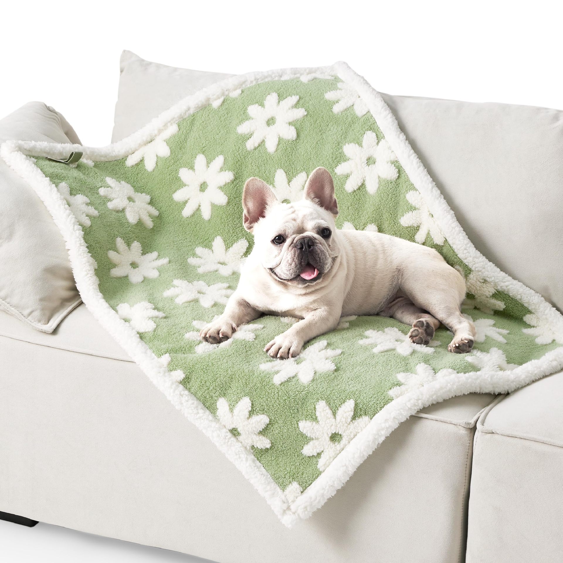 Pet waterproof blanket on a couch with green daisy pattern and white fluffy trim