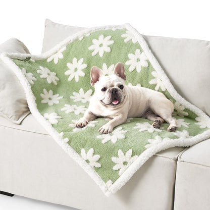 Pet waterproof blanket on a couch with green daisy pattern and white fluffy trim