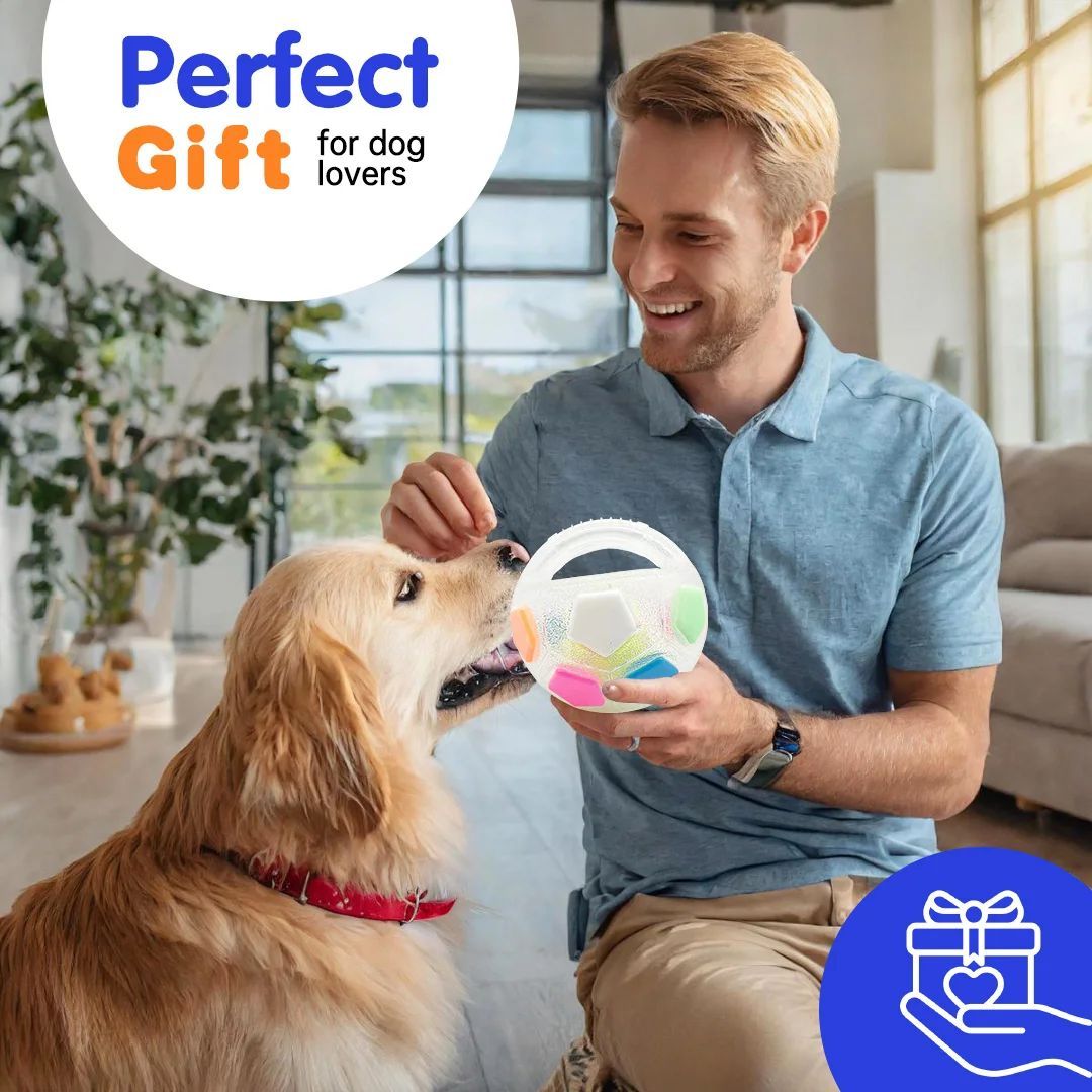 White football-shaped dog toy with rainbow-colored hex panels and handle