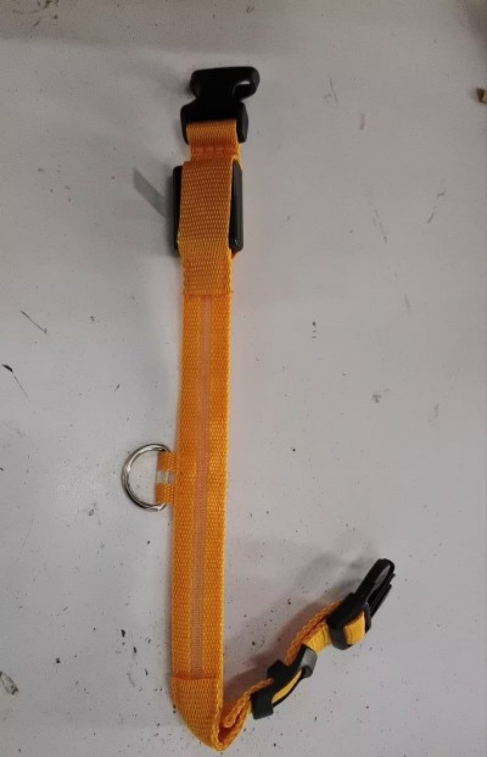 Orange pet safety collar with black clasp and silver D-ring