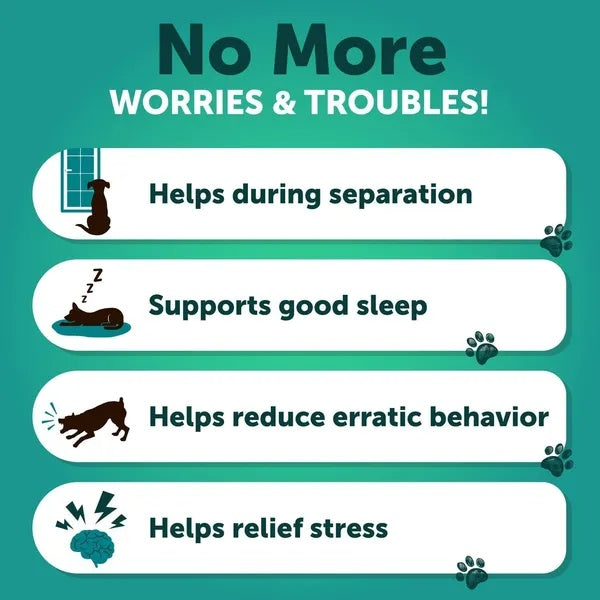 No worries dog anxiety chews benefits: helps during separation, supports good sleep