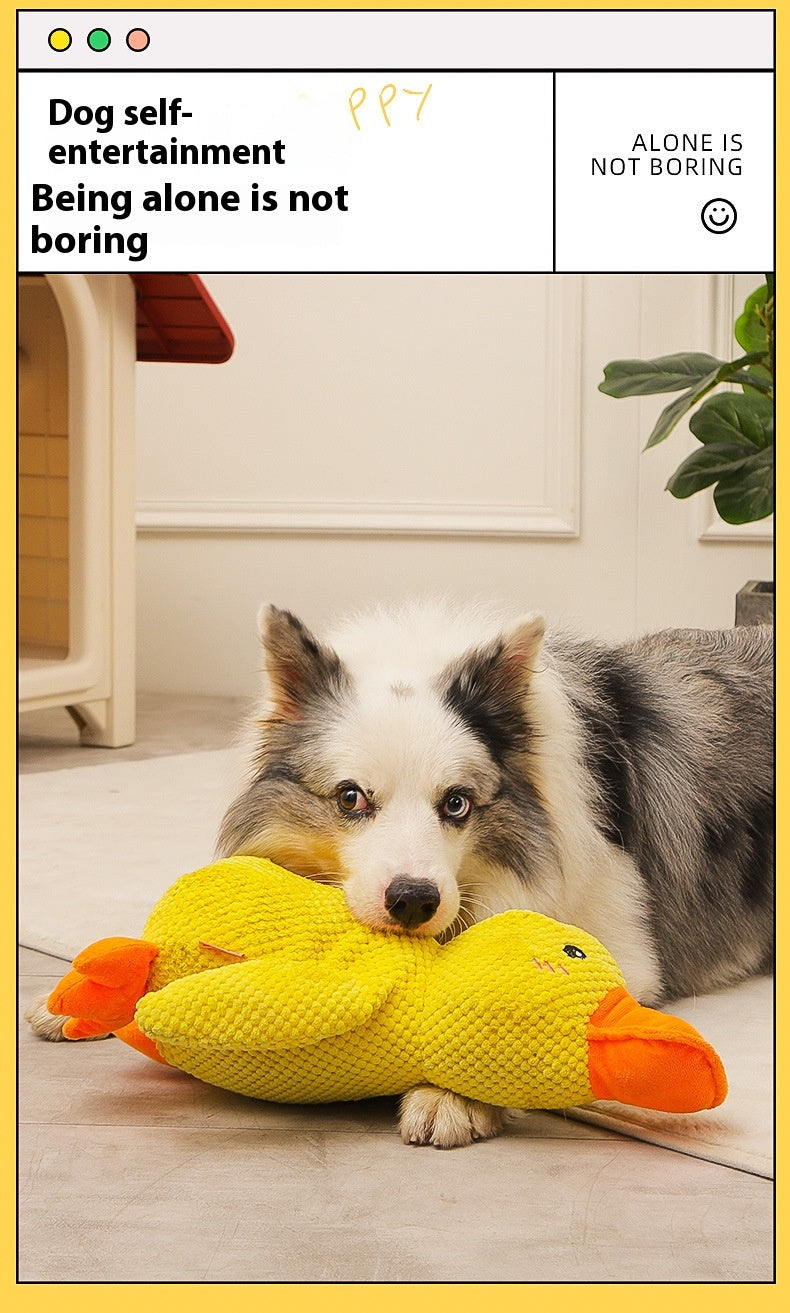 Calming Duck Quietschente gelb, Hund liegt damit am Boden
