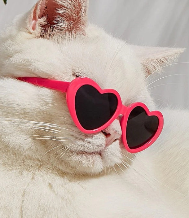Red heart-shaped pet sunglasses with dark lenses on a white cat