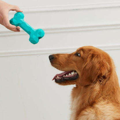 Teal geometric rubber bone chew toy held for a pet dog