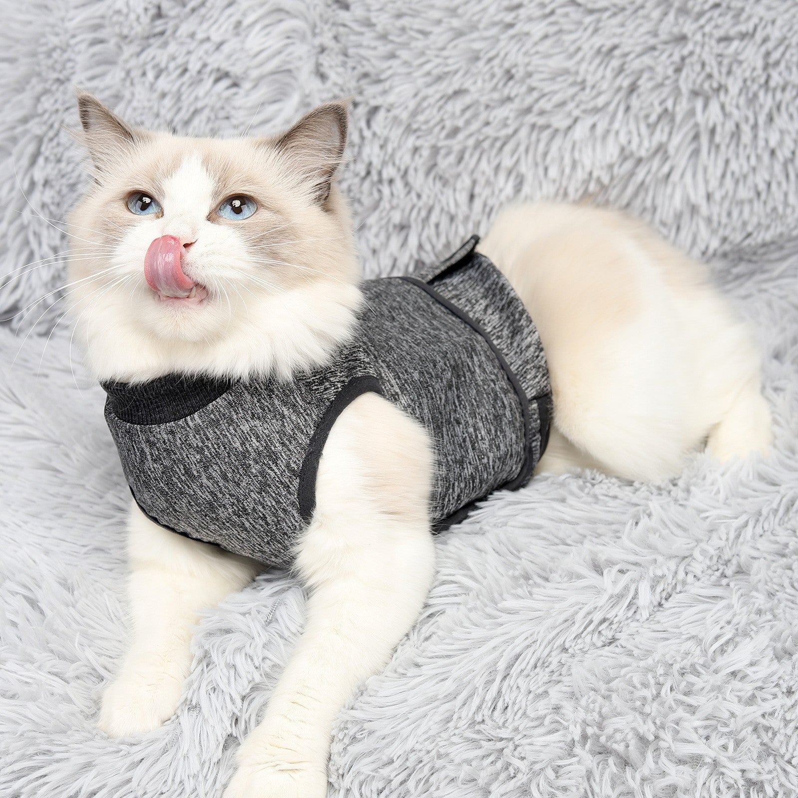 Dark gray adjustable cat calming vest with wide Velcro front panel