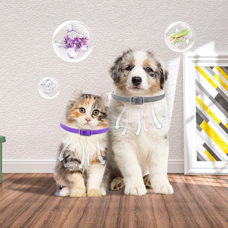 Dog Harness Buckle Pacify in purple, padded strap with plastic buckle and tabs