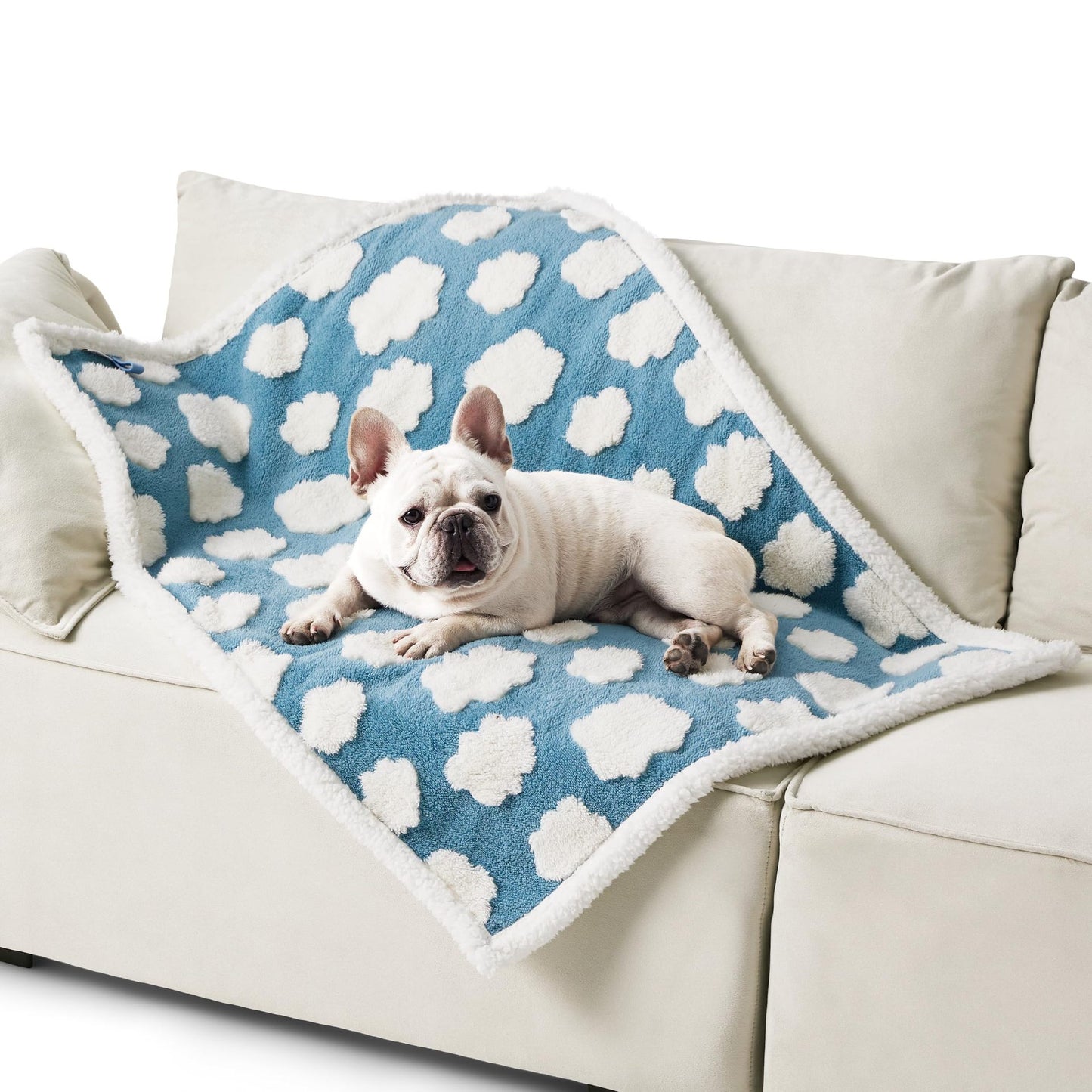 Pet waterproof blanket folded on a couch, blue paw-print pattern with white edging