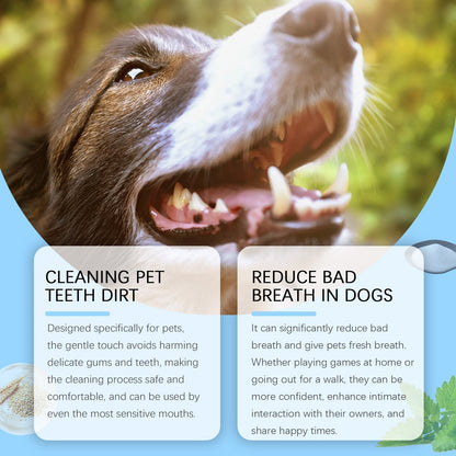 Dog with open mouth showing teeth for pet dental cleaning