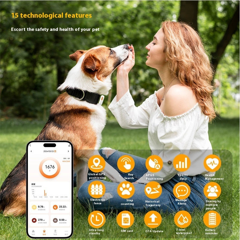 GPS-Halsband-Tracker am Hundehals, schwarzes Band mit kleinem Sender