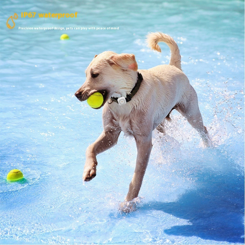 Pet GPS-Tracker am Halsband am schwimmenden Hund, wasserdicht wirkendes Design