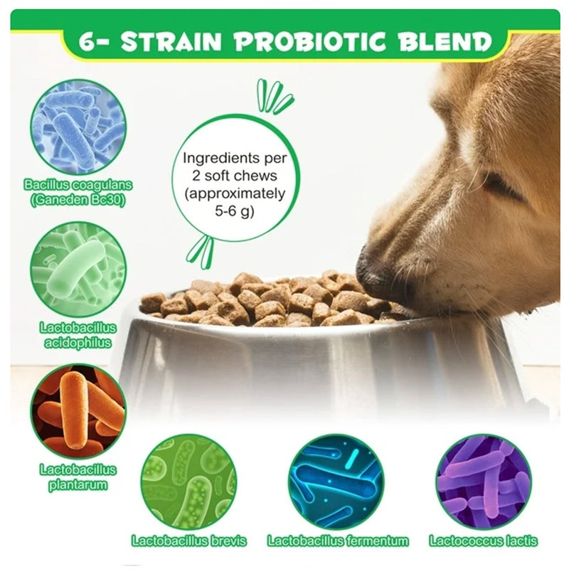 Dog nose beside a bowl of brown probiotic chew pieces, 6-strain blend