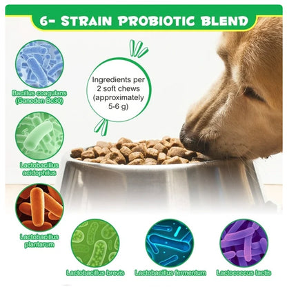 Dog nose beside a bowl of brown probiotic chew pieces, 6-strain blend