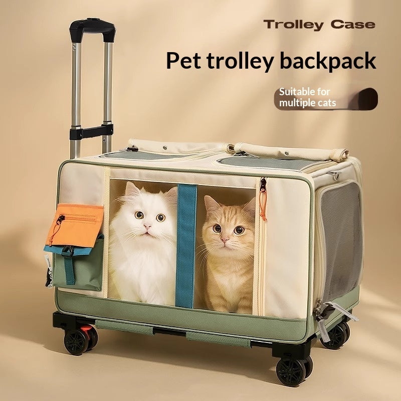 Portable rolling pet travel carrier, light green, front mesh window with cats inside