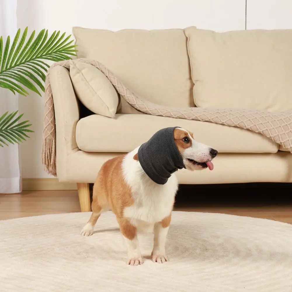Blue dog headband earmuff for warmth in winter