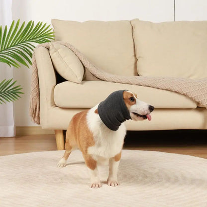 Blue dog headband earmuff for warmth in winter