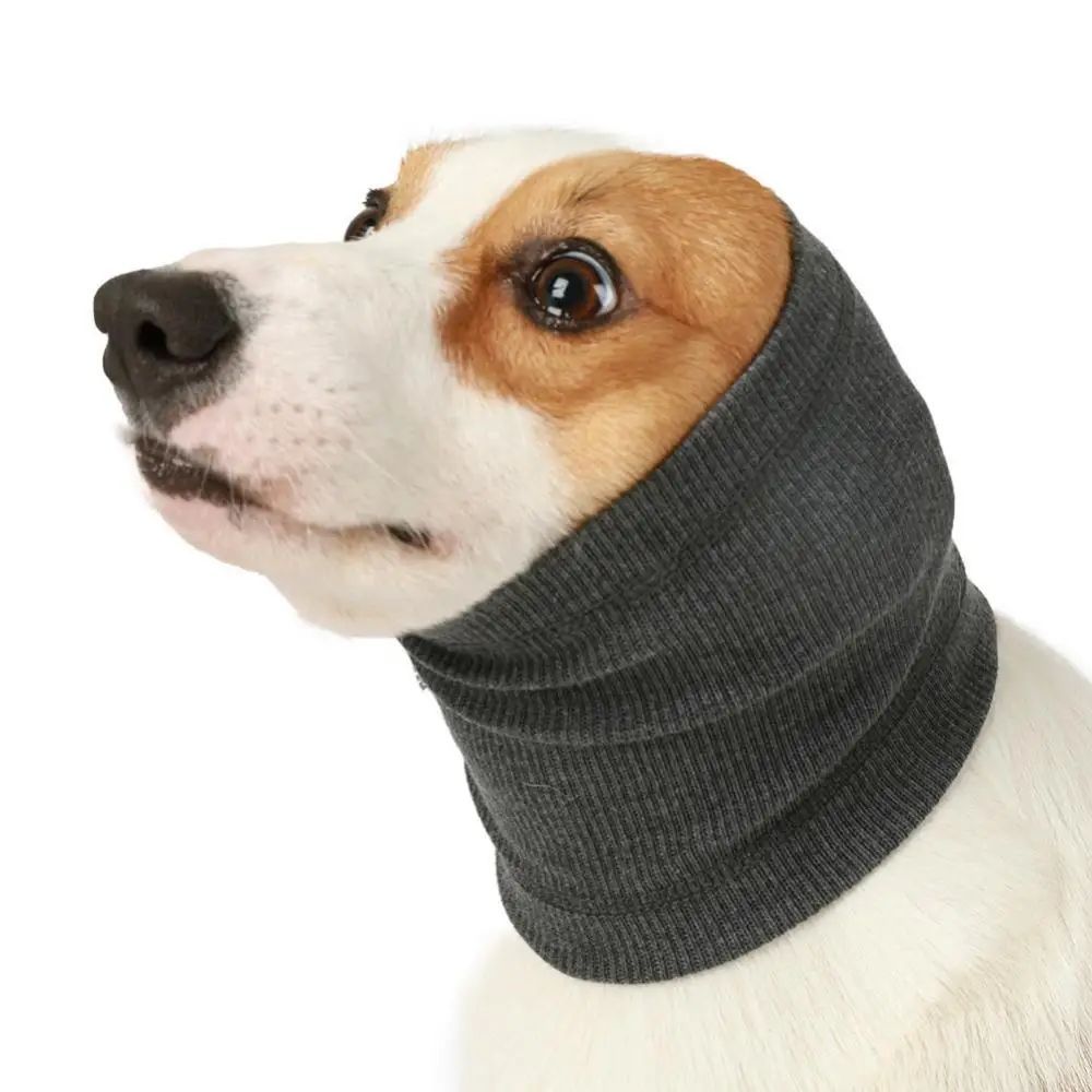 Close-up: gray dog earmuff headband knit around head and ears