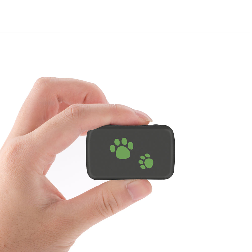 Black GPS pet tracker with paw icons, handheld front view