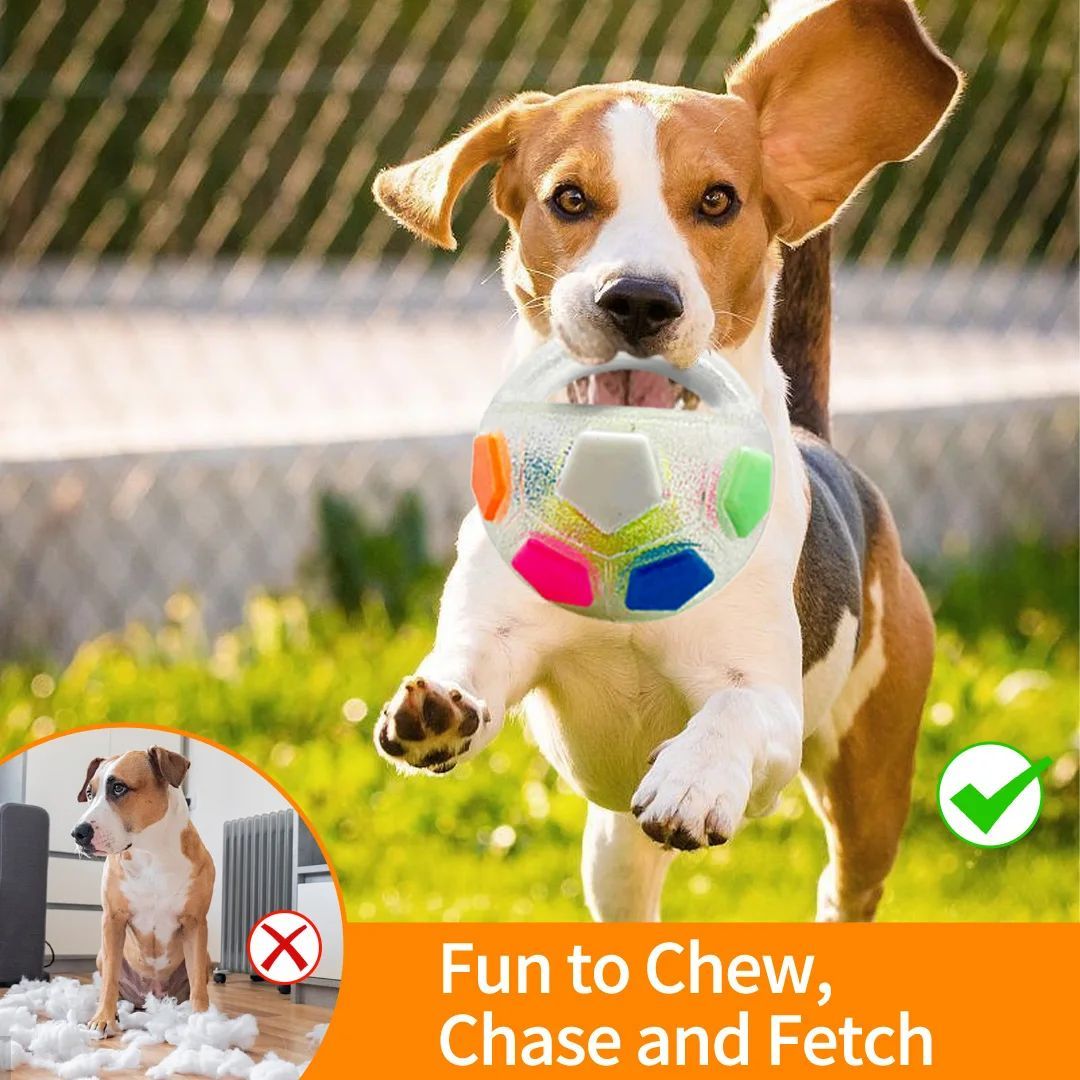 White football-shaped dog toy with colorful hex panels for chewing and training