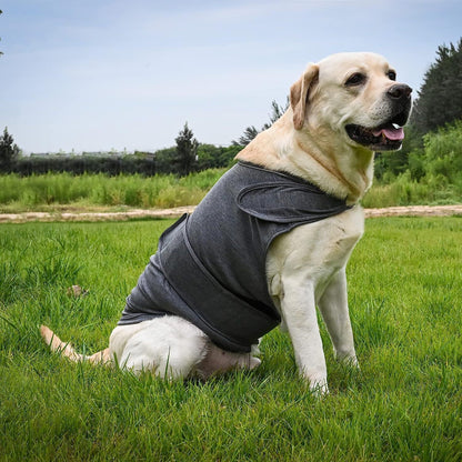Dog anxiety thunder vest in dark gray, wrap-style coverage with neck opening