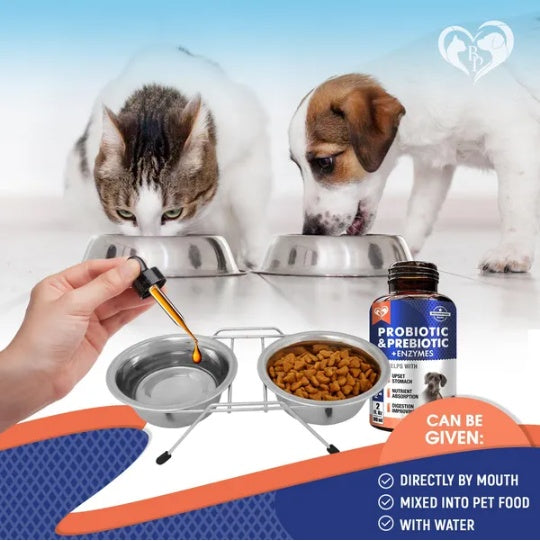 Probiotic & prebiotic with enzymes bottle and dropper; direct by mouth or mixed food