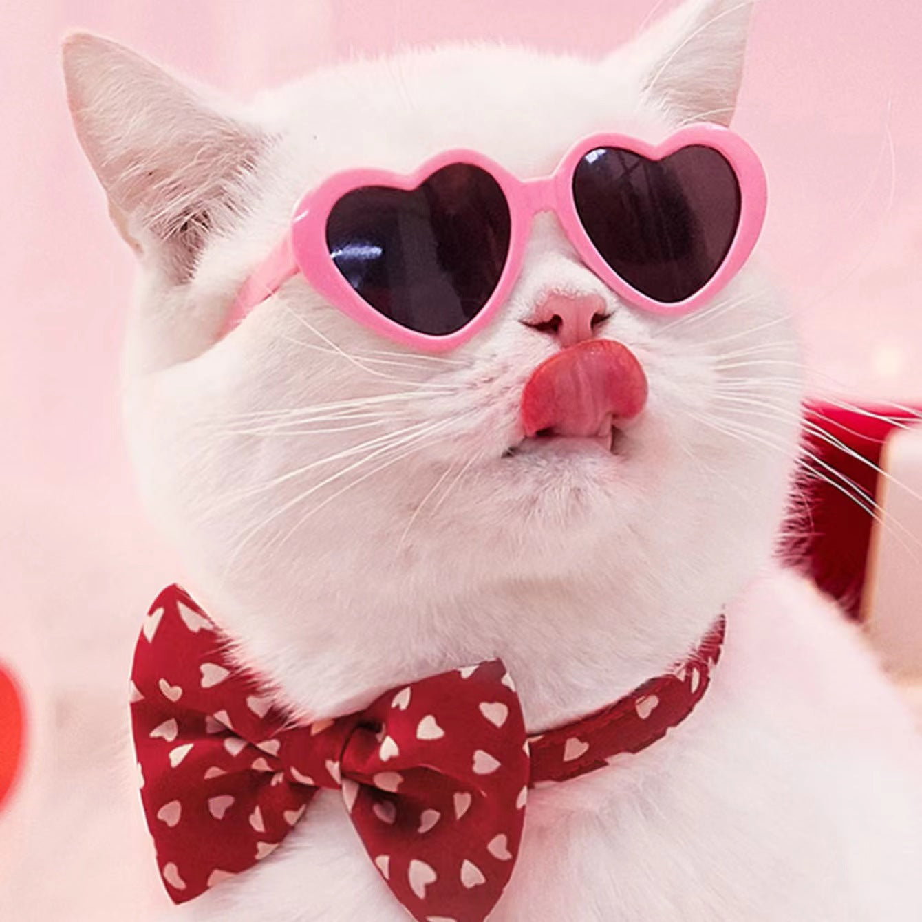 Pink heart-shaped pet sunglasses with dark lenses, worn by a white cat