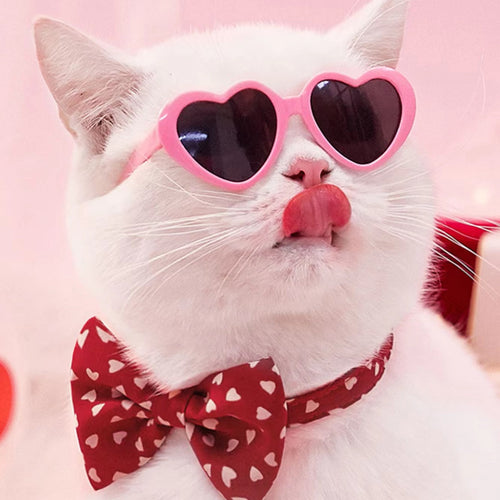 Pink heart-shaped pet sunglasses with dark lenses, worn by a white cat
