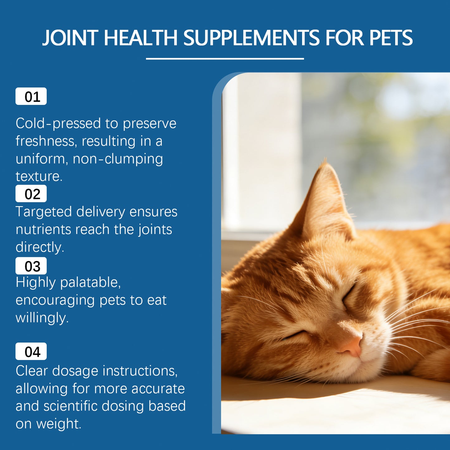 Pet Joint Health Ergänzung mit Infografik und ruhender Katze