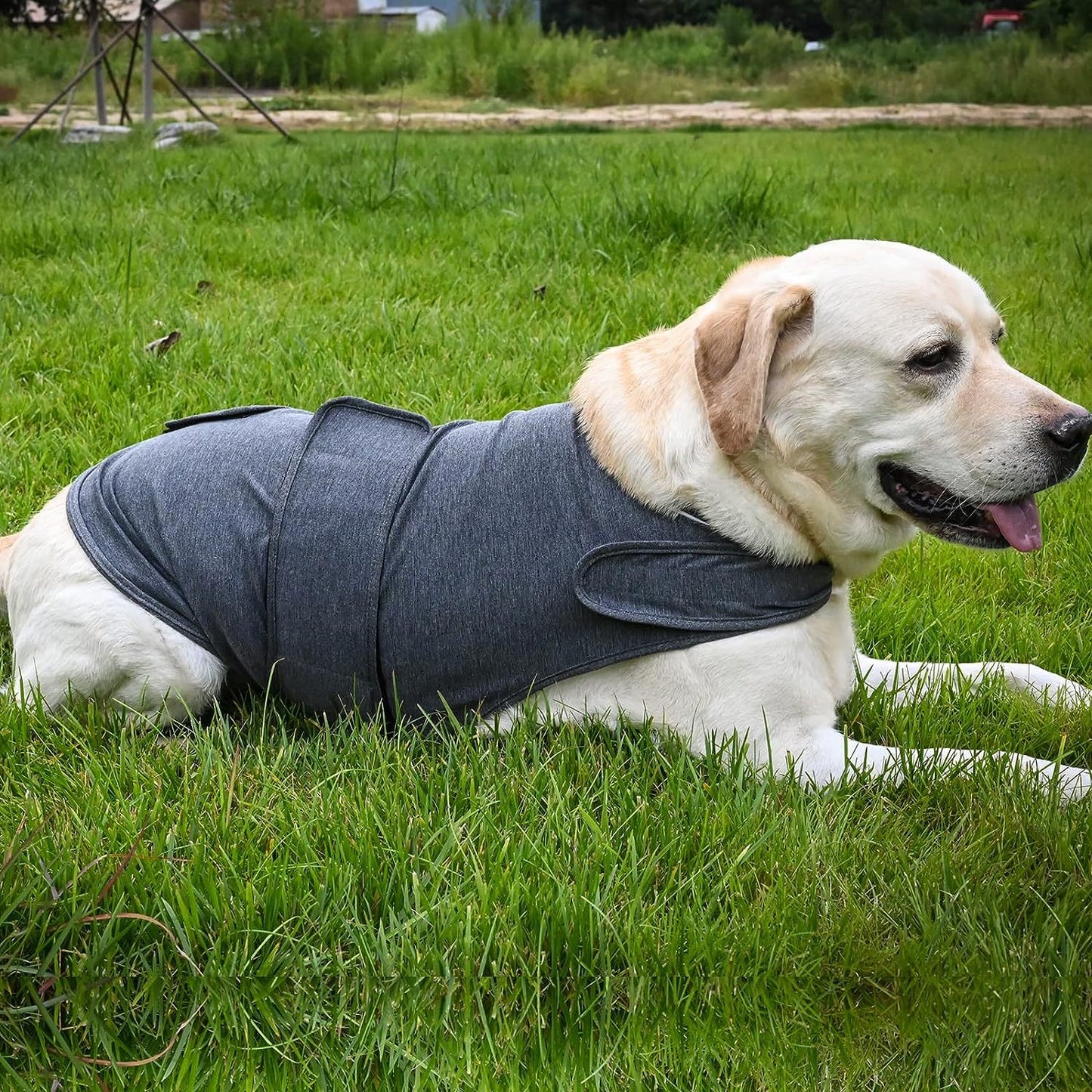 Dog anxiety thunder vest dark gray, padded wrap with curved back panel