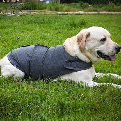Dog anxiety thunder vest dark gray, padded wrap with curved back panel