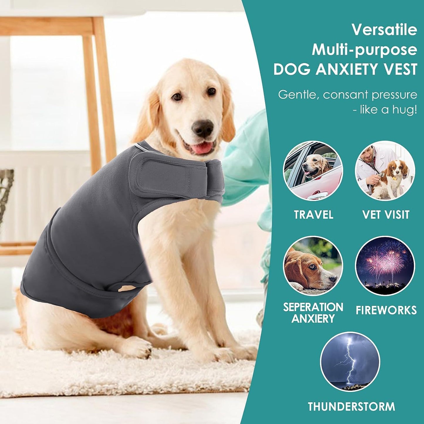 Dark gray dog anxiety vest with soft neck cover and chest strap, on dog